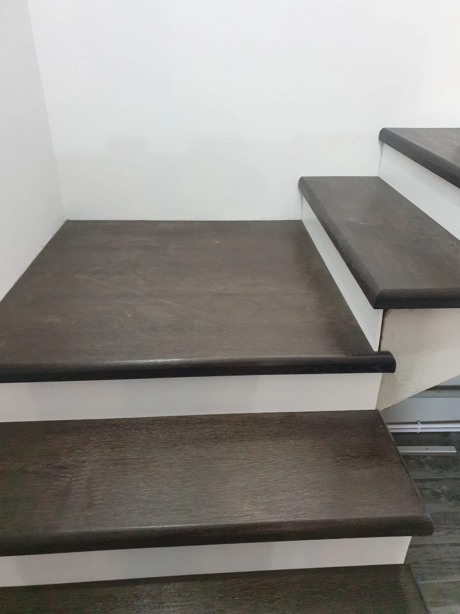 scari interior (16)